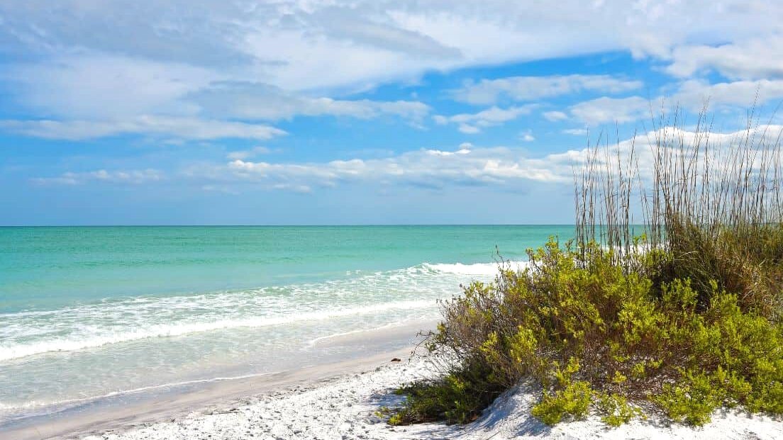 Sand Key Park wedding on Florida's Gulf Coast